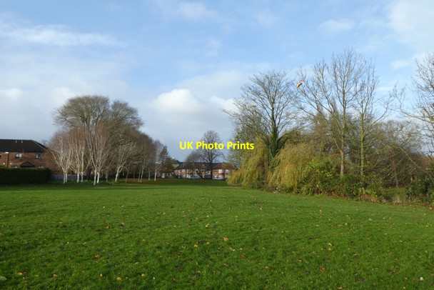 Photo 6"x4" Hull Road Park York\/SE5951 c2021