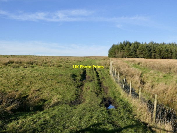 Photo 6"x4" Rough grazing Belmont\/SD6716 c2021