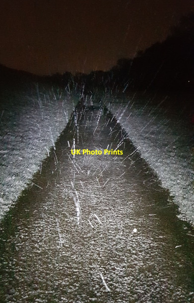 Photo 6"x4" Snow falling on the path York\/SE5951 c2021