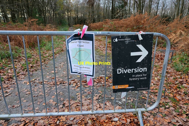 Photo 6"x4" Notices relating to temporary closure of path in Wyre Forest, near Buttonoak Buttonoak c2021