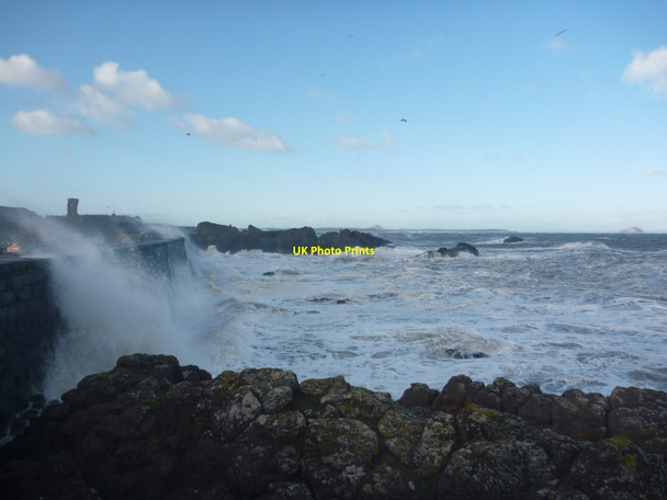 Photo 6"x4" Coastal East Lothian : The Other Side Of The Wall, Victoria Harbour, Dunbar Dunbar c2021