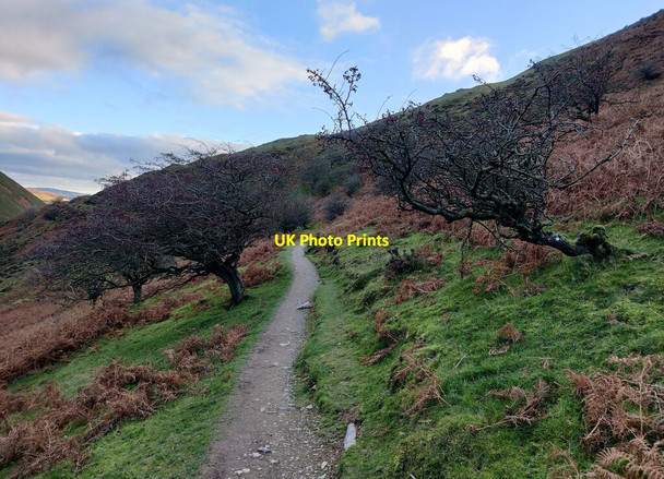 Photo 6"x4" Path along the side of the Carding Mill Valley Ashbrook\/SO4594 c2021