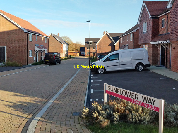 Photo 6"x4" Sunflower Way, Forge Wood, Crawley Black Corner c2021
