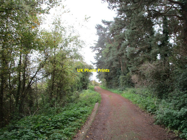 Photo 6"x4" Footpath to Beachley Point Beachley c2021