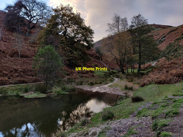 Photo 6"x4" Carding Mill Valley Ashbrook\/SO4594 c2021