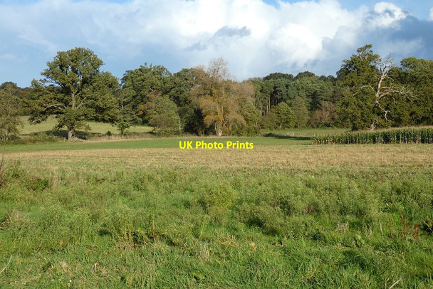 Photo 6"x4" Farmland, Stratfield Turgis Stratfield Turgis c2021