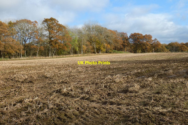 Photo 6"x4" Farmland, Newnham Water End\/SU6953 c2021