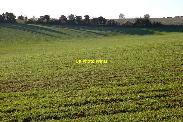 Photo 6"x4" Farmland, Monk Sherborne Monk Sherborne c2021 P1