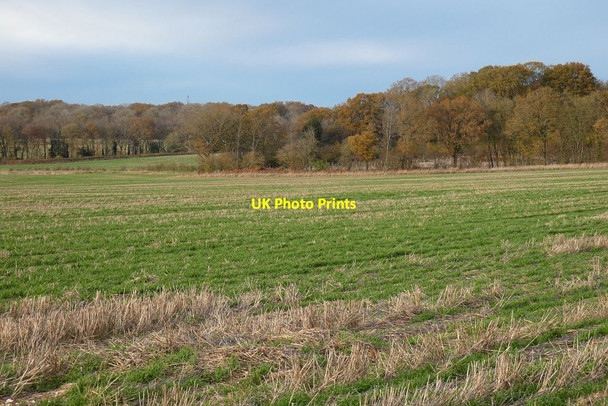 Photo 6"x4" Farmland, Wootton St Lawrence Ramsdell c2021