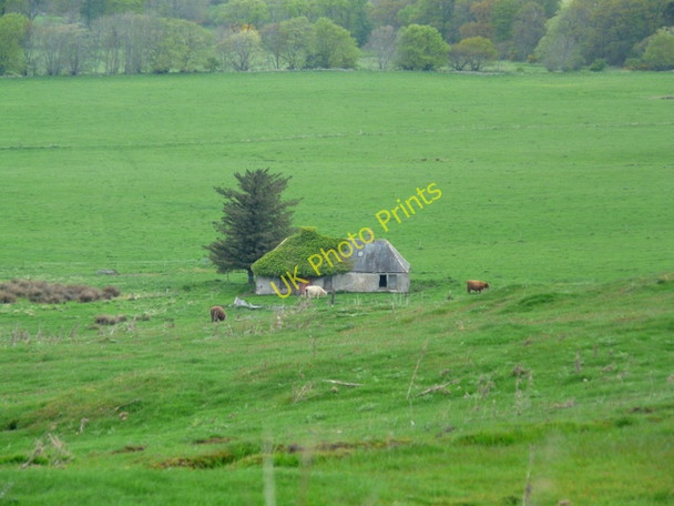 Photo 6"x4" Abandoned steading near Nigg. Nigg\/NH8071 c2009