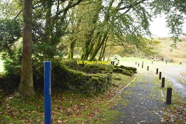 Photo 6"x4" Ruined farnstead Moneygashel c2021
