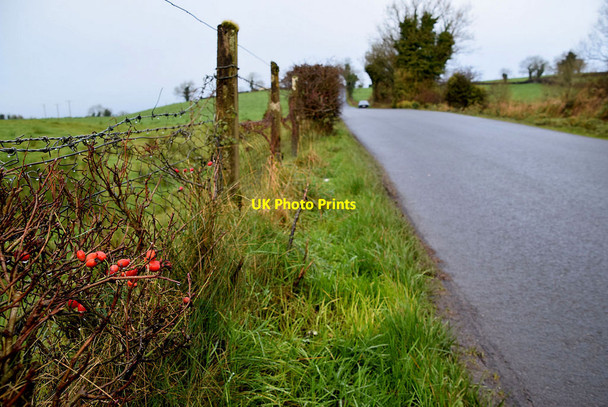 Photo 6"x4" Dunnamona Road Fintona c2021