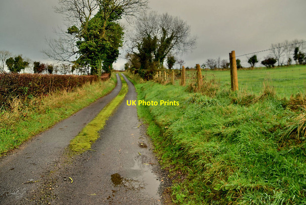 Photo 6"x4" Glennan Road, Glennan Dromore\/H3562 c2021