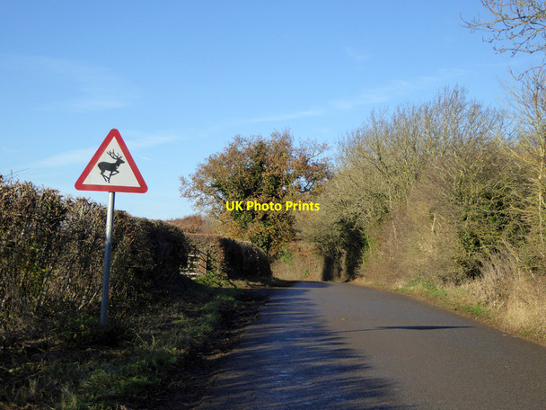 Photo 6"x4" Stubbs Road Everdon c2016