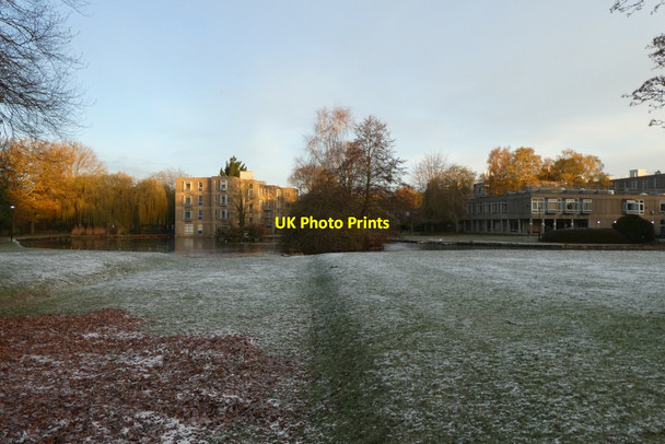 Photo 6"x4" Snow on Derwent Lawns Heslington c2021