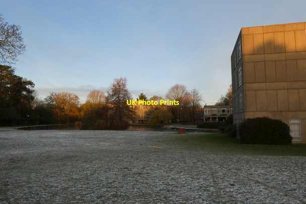Photo 6"x4" Derwent Lawns and B block Heslington c2021