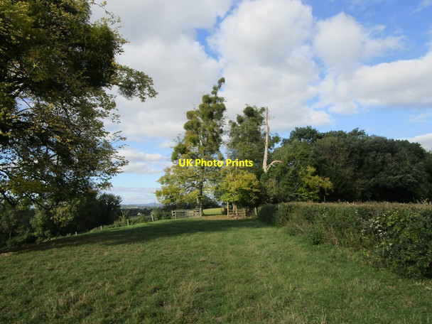 Photo 6"x4" Grass field near Tibberton Court Tibberton\/SO7621 c2021