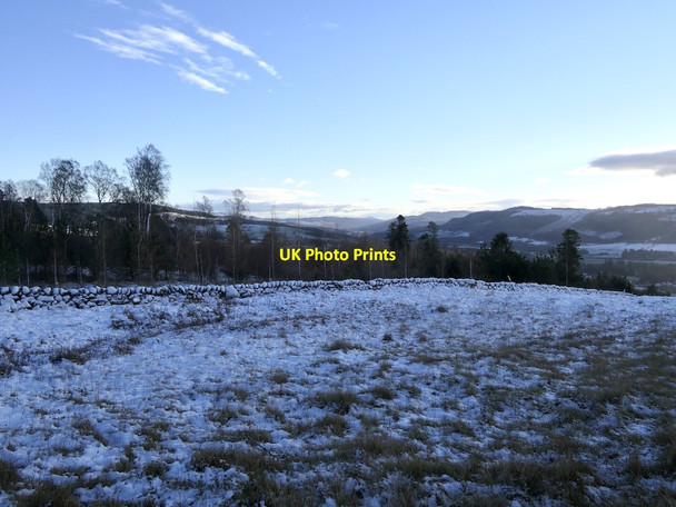 Photo 6"x4" Woodland edge, Balnakeilly Pitlochry c2021