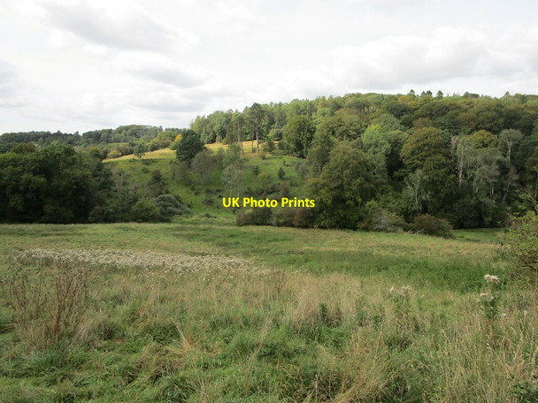 Photo 6"x4" The Frome Valley at Sapperton Daneway c2021