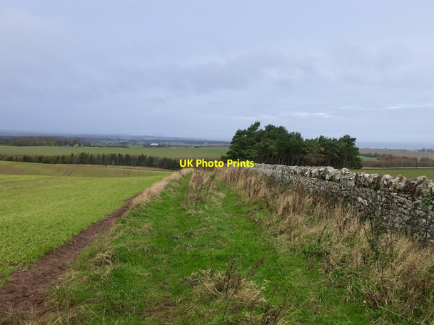 Photo 6"x4" Field margin and track near Spott Spott\/NT6775 c2021