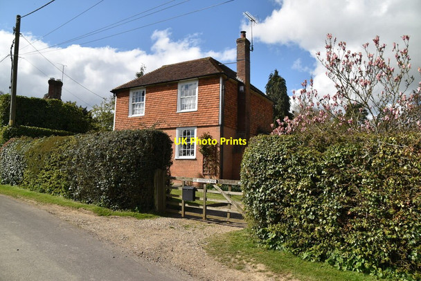 Photo 6"x4" Walnut Tree Cottage Rolvenden Layne c2021
