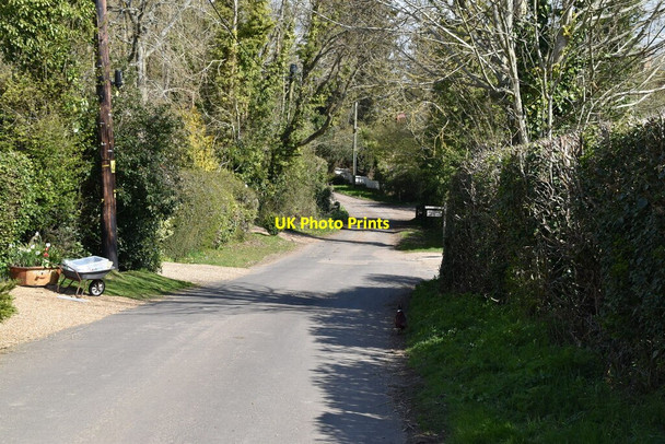 Photo 6"x4" Mounts Lane Rolvenden Layne c2021