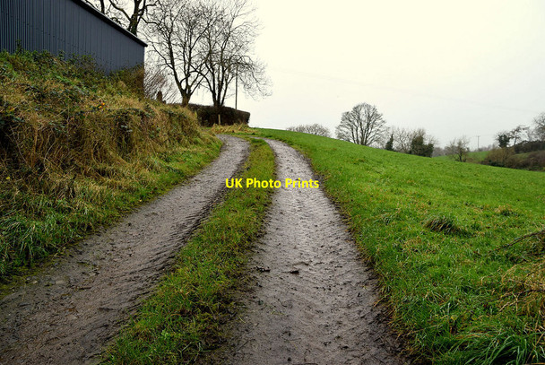 Photo 6"x4" Lane, Drudgeon Omagh c2021