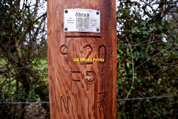 Photo 6"x4" Markings on pole, Crucknamona Omagh c2021