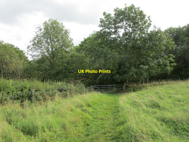 Photo 6"x4" Bridleway to Pinbury Park Edgeworth c2021