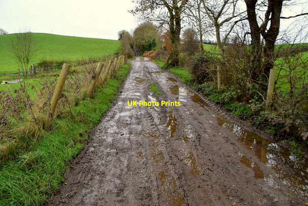 Photo 6"x4" A muddy lane, Rakeeragh Omagh c2021