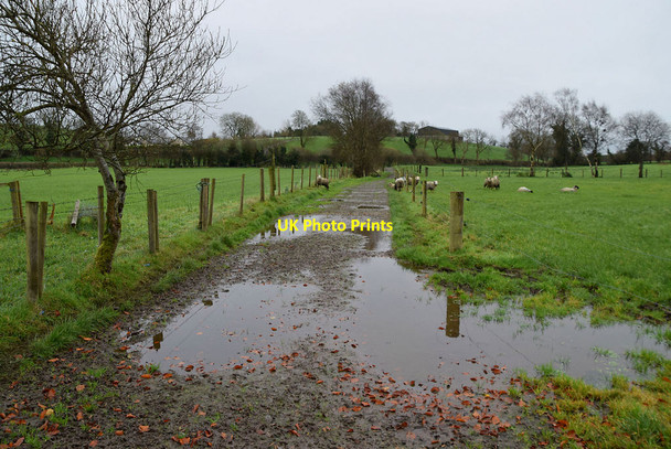Photo 6"x4" A wet lane, Rakeeragh Omagh c2021