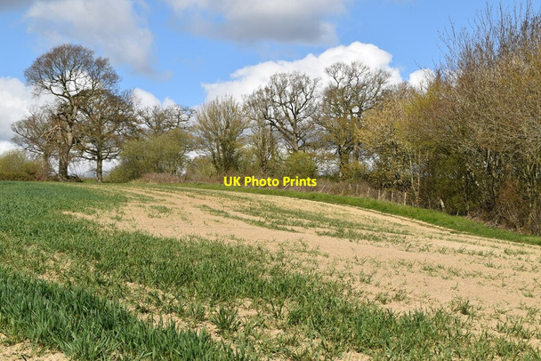 Photo 6"x4" Bare patches in field Rolvenden c2021