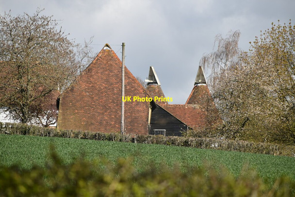 Photo 6"x4" Lower Murgie Oast Tenterden c2021 P1