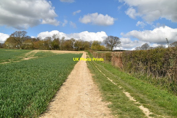 Photo 6"x4" High Weald Landscape Trail Tenterden c2021