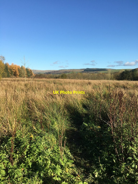 Photo 6"x4" Rough boggy area Johnstonebridge c2021