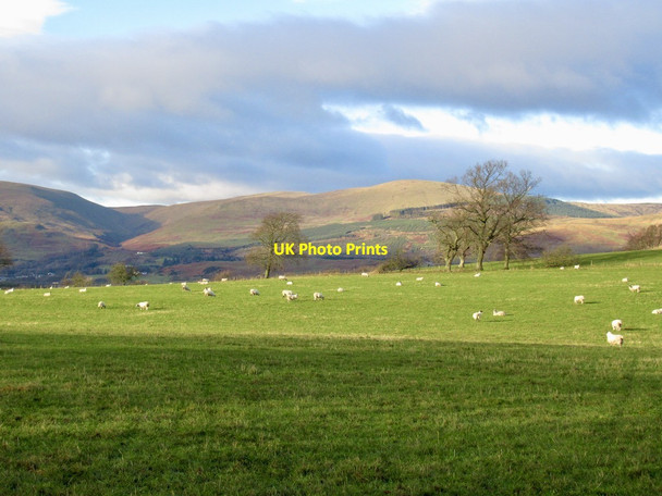 Photo 6"x4" A view of the Ochils Blairingone c2021