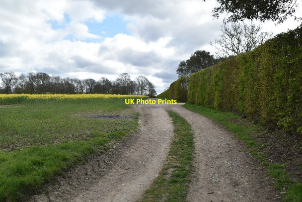 Photo 6"x4" Track by Heronden Tenterden c2021