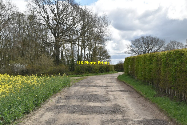 Photo 6"x4" Farm track Tenterden c2021