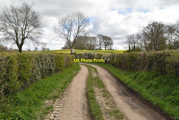 Photo 6"x4" Byway, The Quarter Tenterden c2021