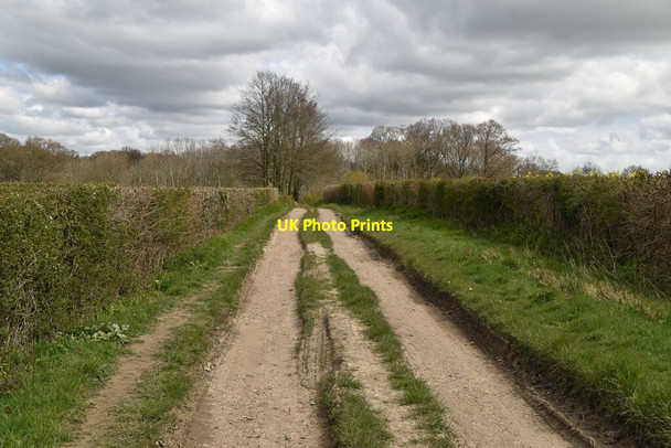 Photo 6"x4" Byway, The Quarter Tenterden c2021 P1