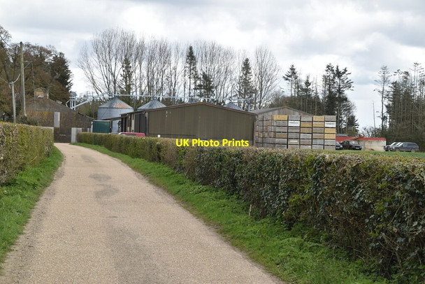 Photo 6"x4" Farm, The Quarter Tenterden c2021