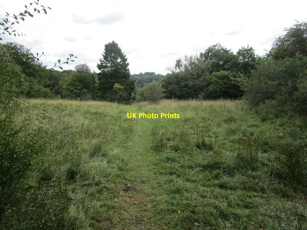 Photo 6"x4" Footpath to Daneway Daneway c2021