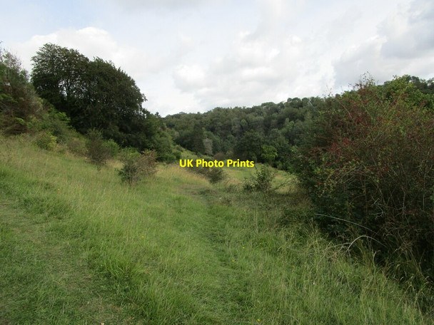 Photo 6"x4" Daneway Banks nature reserve Daneway c2021