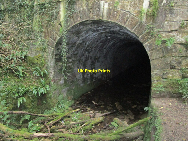 Photo 6"x4" The entrance to Sapperton Tunnel Daneway c2021