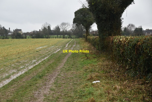 Photo 6"x4" Footpath to Ticehurst Dale Hill\/TQ6930 c2021