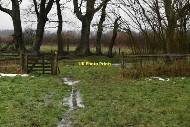 Photo 6"x4" A rather soggy footpath Dale Hill\/TQ6930 c2021