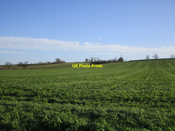 Photo 6"x4" Leesthorpe Hill Leesthorpe c2021