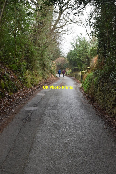 Photo 6"x4" Oldbury Lane Oldbury\/TQ5856 c2021