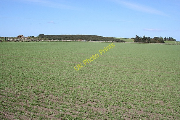 Photo 6"x4" Near Hillhead of Auchmacleddie Mountsolie c2009