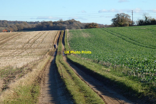 Photo 6"x4" Track and farmland, Crondall Crondall c2021